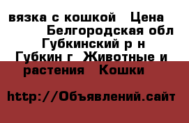 вязка с кошкой › Цена ­ 1 000 - Белгородская обл., Губкинский р-н, Губкин г. Животные и растения » Кошки   